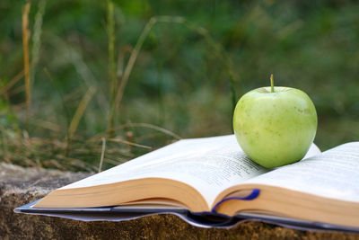 Close-up of open book on table