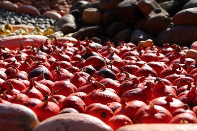 Close-up of fruits for sale in market