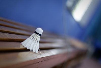 Low angle view of umbrella on table