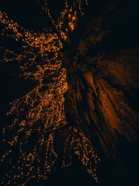 Low angle view of illuminated tree against sky at night