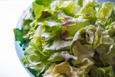 Close-up of salad