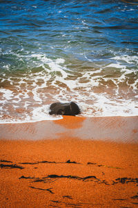 High angle view of beach