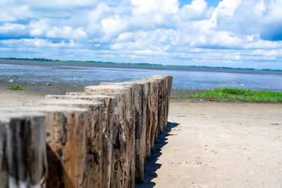 Small wooden poles at low tide in the wadden sea in friesland