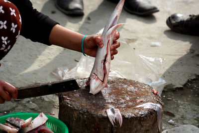 High angle view of hand holding fish