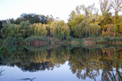 Scenic view of lake in forest against clear sky