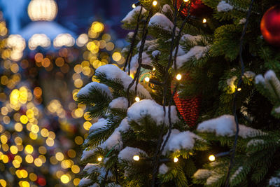 Close-up of illuminated christmas tree at night