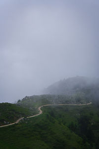 environment