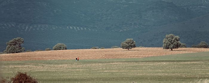 Scenic view of field against mountains 