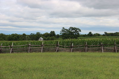 Scenic view of agricultural field against sky