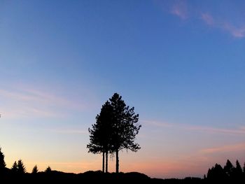 Silhouette trees on field against sky at sunset