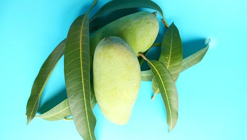 Close-up of bananas