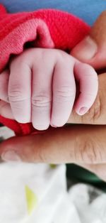 Close-up of woman holding hand