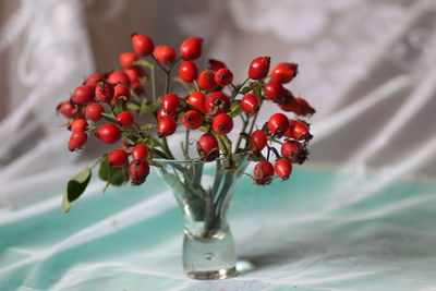 Close-up of red berries on glass