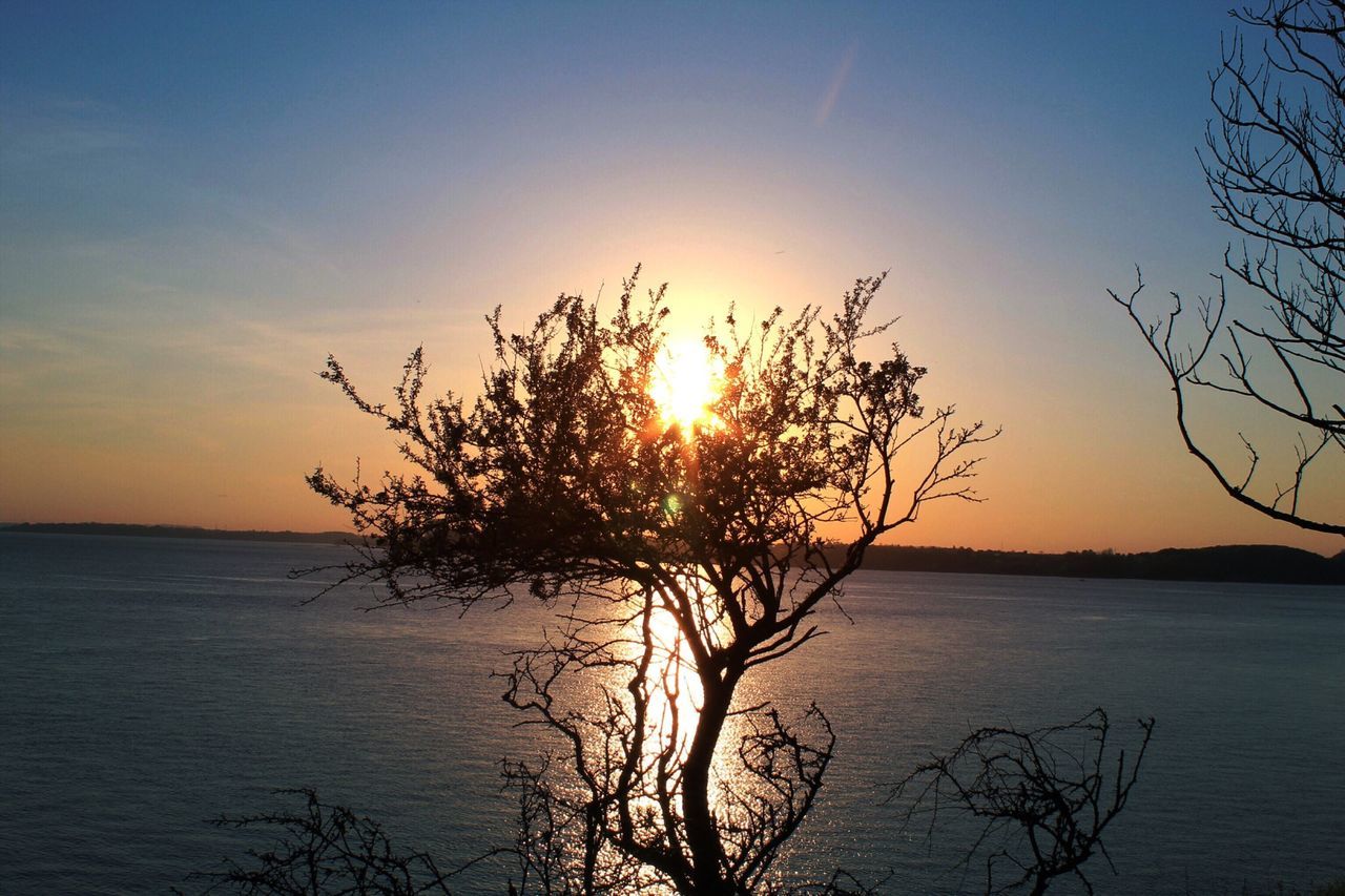 sun, sunset, water, tranquil scene, tranquility, scenics, beauty in nature, nature, silhouette, reflection, sunlight, sky, sea, idyllic, lake, tree, bare tree, branch, outdoors, growth