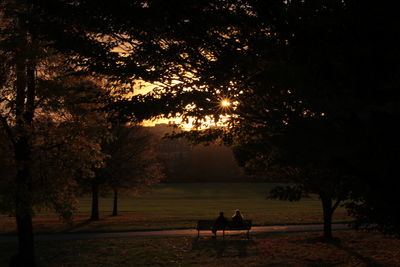 Silhouette of trees at sunset