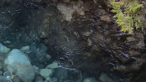 water