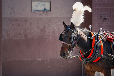 Horse cart on wall