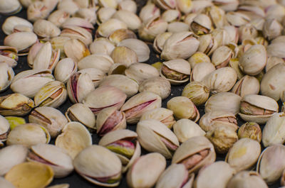 Full frame shot of seashells