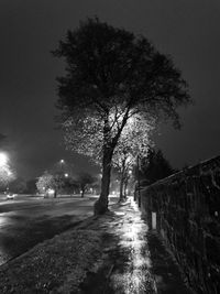 Street amidst trees against sky at night