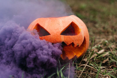 Close-up of pumpkin on grass during halloween with purple smoke