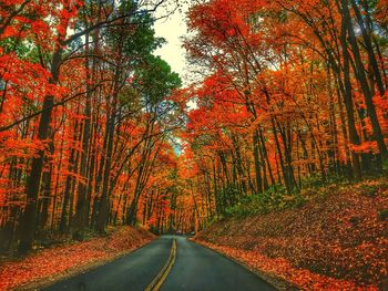Road amidst trees in forest during autumn