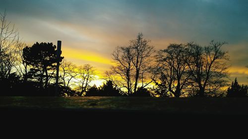 Silhouette trees against sky during sunset