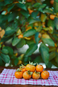 Close-up of tomatoes