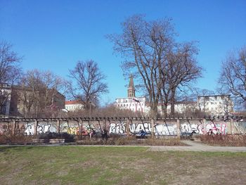 Bare trees against clear sky