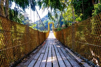 Footbridge amidst trees in forest against sky