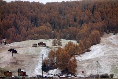 High angle view of trees in forest during winter