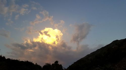 Low angle view of silhouette trees against sky
