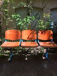 Chairs and plants against trees