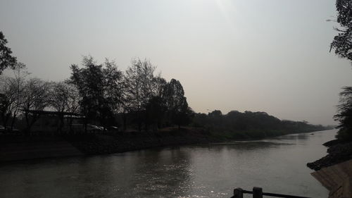 Scenic view of river in forest against clear sky