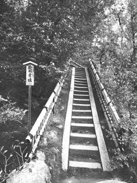 Information sign on tree