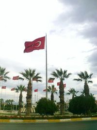 Red flag by palm trees against sky