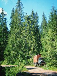 Abandoned semi-truck by dirt road against trees