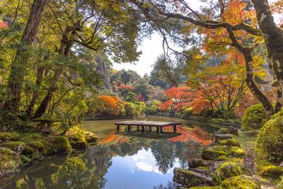 Scenic view of lake in forest during autumn