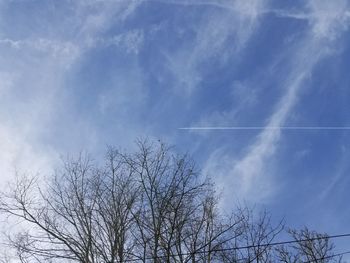 Low angle view of bare tree against blue sky