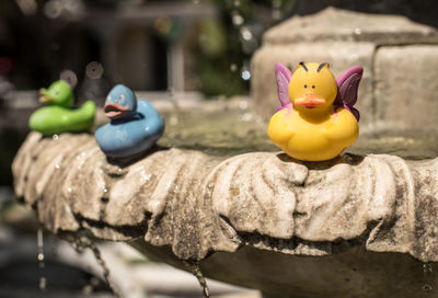 Close-up of yellow bird toy by water