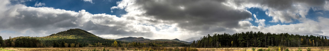 Panoramic view of trees and mountains against sky