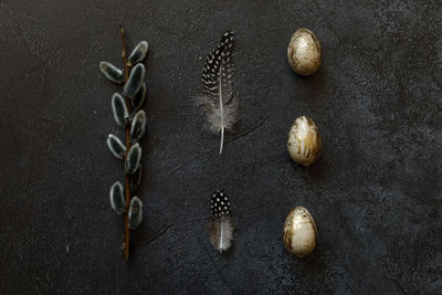 High angle view of seashells on table