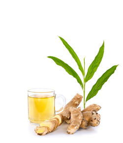 Close-up of drink against white background