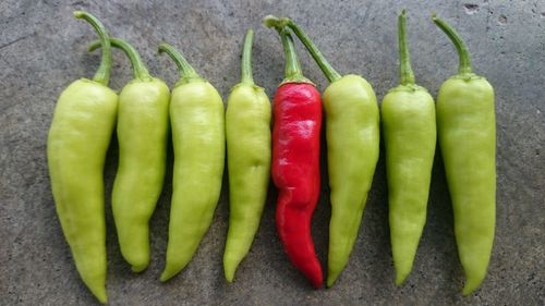 Directly above shot of chili pepper on table