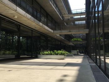 Empty road along buildings