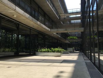 Empty road along buildings