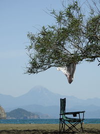 Scenic view of tree and mountains against sky