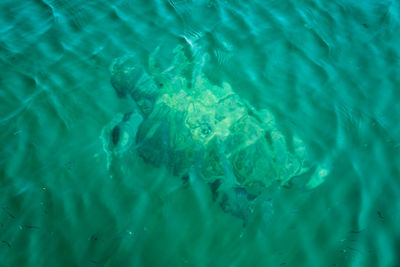 High angle view of swimming pool in sea