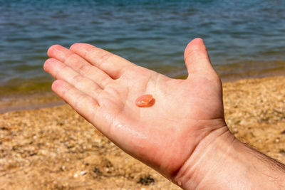 Cropped image of person hand on sea shore