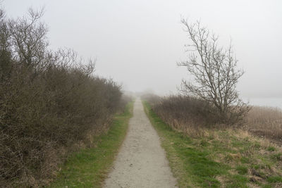 Dirt road along trees and plants against sky