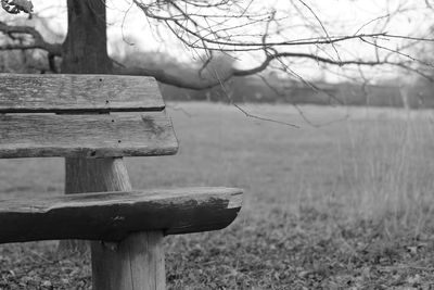 Close-up of bench in park